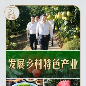 习言道｜从荔枝园到柚子园，习近平不变的牵挂