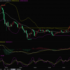 退伍军人节美股休市，黄金却“偷偷”涨至两周半高位！下一个目标4200？ ...