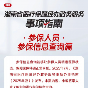 湘办｜想查询自己的参保信息？指南来了