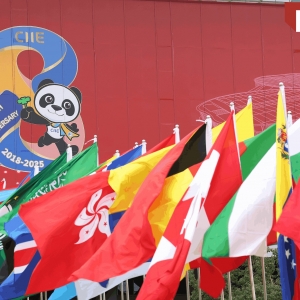国际锐评丨透过进博之窗，看懂开放“领跑者”的自信与担当 ...
