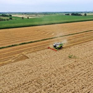 来昌吉感受棉粮煤的“吨位”