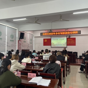 岳塘区：巾帼村播联盟激活乡村振兴新动能