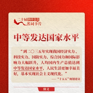 二十届四中全会名词卡片：中等发达国家水平
