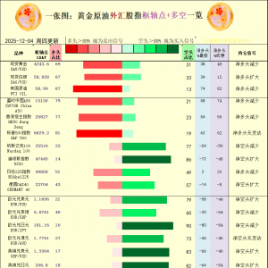 一张图：2025年12月4日黄金原油外汇股指“枢纽点+多空持仓信号”一览 ...