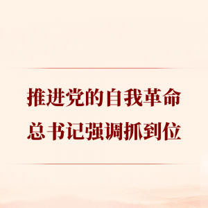 第一观察｜推进党的自我革命，总书记强调抓到位