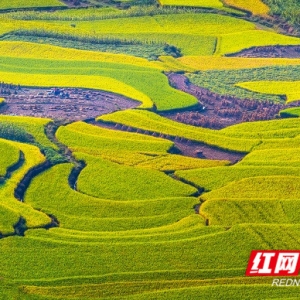 鼓励“大胆改革” 岳阳入选国家生态价值产品实现机制试点