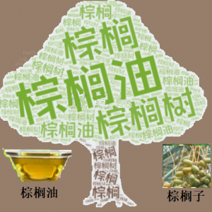 库存六年高位逼近，棕榈油的关键防线正在接受考验