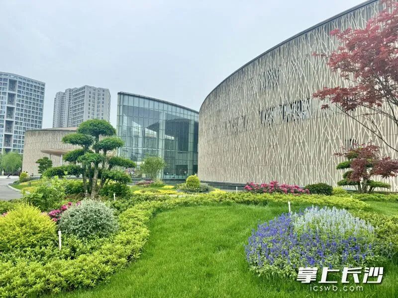 隆平水稻博物馆前坪，藏在稻田边的春日诗行。