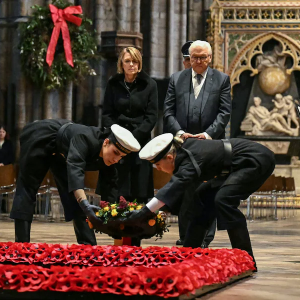 德国总统承认德国曾给欧洲带来苦难