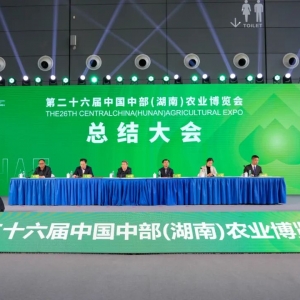 辛小湘 | 农博会里，藏着湖南的丰收与热望