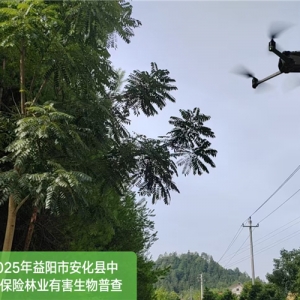 中华财险安化支公司与绿满潇湘生态科技携手共筑，科技护航林木保险 ...