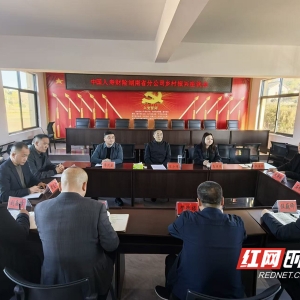 中国人寿财险湖南分公司：凝心聚力 倾力谱写白岩冲村振兴新篇章 ...