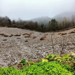 刚刚！湖南下雪了！！
