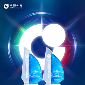 方舟奖揭晓！中国人寿斩获高质量发展与普惠金融实践两项大奖 ...