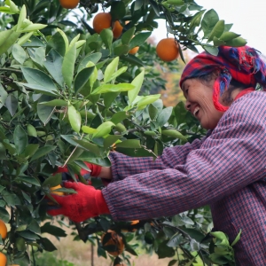 湖南邵阳：千年古城“万般变”