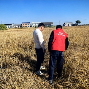 人保财险宁乡支公司以专业保险力量护航农业高质量发展