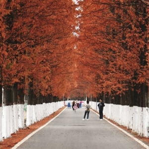 湖南常宁市：交通网铺就民生幸福路