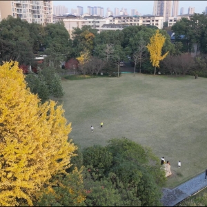 2次冷空气，1场明显风雨，常德未来一周天气关键词：防风防火防感冒 ...