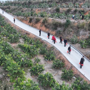 衡山：旅发大会红利持续释放 水果基地成冬季游“新宠”