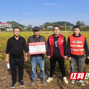 中华财险娄星支公司高效理赔获农户与农技部门认可