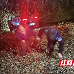 20米高坡+60度倾角！桃江交警徒手攀爬 救回急症司机