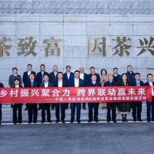 “乡村振兴聚合力 跨界联动赢未来”中国人寿驻湘机构与湖南省茶业集团开展党建共建活 ...