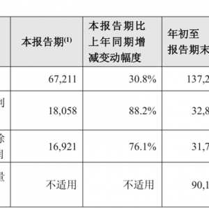 资负共振驱动新华保险业绩跃升 投资领跑、队伍收入上涨、分红险受青睐 ...