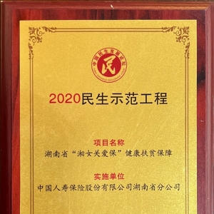 300亿·新征程丨湖南国寿：聚焦民生需求 以保险之力谱写幸福湖南新篇章 ...