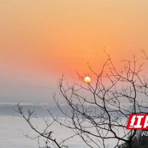 云海映照振兴路——保靖县天塘坡片区以生态“绿”绘就乡村振兴“红” ...