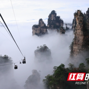 请关注！张家界国家森林公园天子山索道运营有调整
