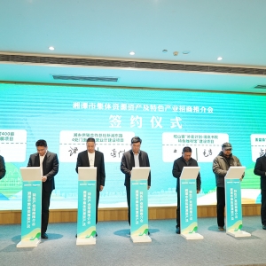 这里是绿心②丨小产业大作为 绿心深处的“繁星”聚变