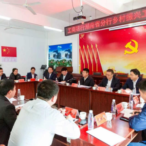 工商银行湖南省分行深入新田县开展乡村振兴专题调研