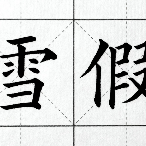 追光｜阿勒泰“雪假”首秀：孩子们的冬天被重新定义