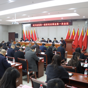 “首”护民“议” 实事“票”决 长沙同升街道举行首届居民议事会 ...