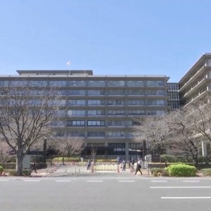 视频丨欧洲舆论：高市言行值得国际社会警惕