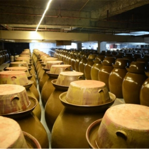 从益阳坛窖到世界餐桌 世林食品与湖湘味道的半世纪坚守