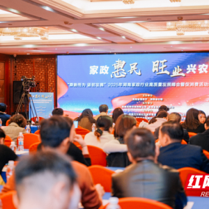 前三季度营收超185亿元！2025湖南家政促消费活动交出亮眼答卷 ...