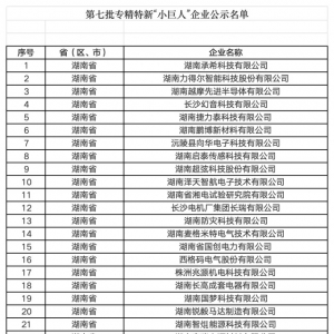 湖南新增77家“小巨人”企业 总量达593家，居全国第9位