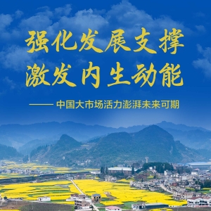 2025中国经济回眸｜强化发展支撑 激发内生动能——中国大市场活力澎湃未来可期 ...