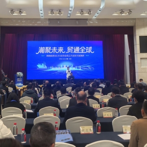 湖南省进出口行业协会成立