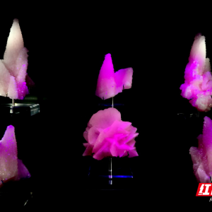 湘恒矿物宝石“粉红女郎”熠熠生辉 亮相郴州市第二届矿物宝石酒店展 ...