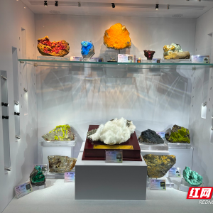 泡温泉赏矿晶！郴州这场展会真会玩