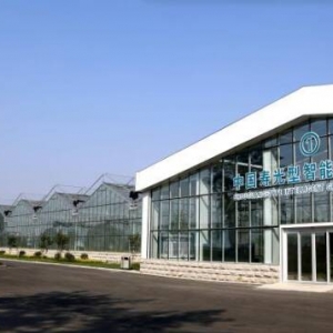 经济大省挑大梁丨“小”身板，“大”力量