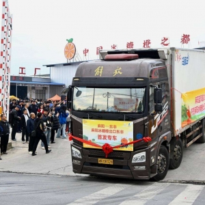 湖南怀化：一颗橙子“闯”全球