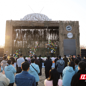 视频丨芦苇艺术季再临洞庭 15组艺术装置演绎“生命共生”主题 ...