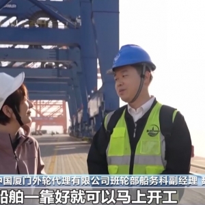 一线见闻丨数据破壁垒 办证不停运！海上运输跑出“加速度” ...