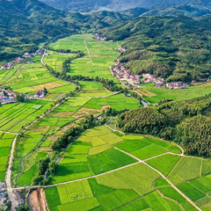 好评中国丨山区小县何以成为创新热土