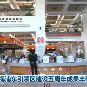 上海浦东引领区建设五周年成果丰硕