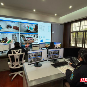 【AI赋能 智惠潇湘】 数据“跑腿”健康“上门”，常宁解锁县域医疗“智慧密码” ...