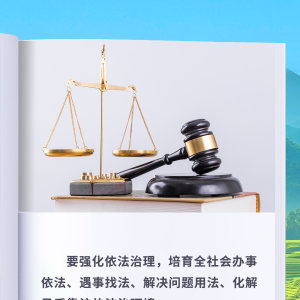 回响丨大道之行